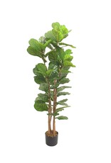 Damn Kunstplant Fiddle ficus lyrata 180cm