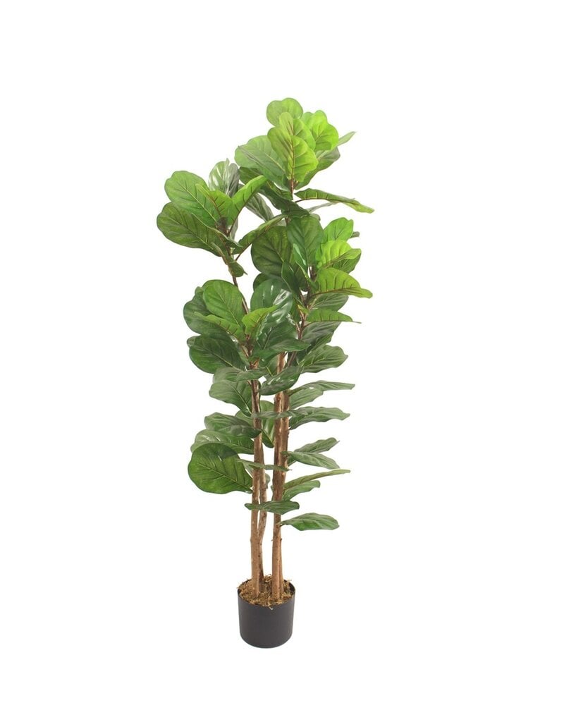 Damn Kunstplant Fiddle ficus lyrata 180cm