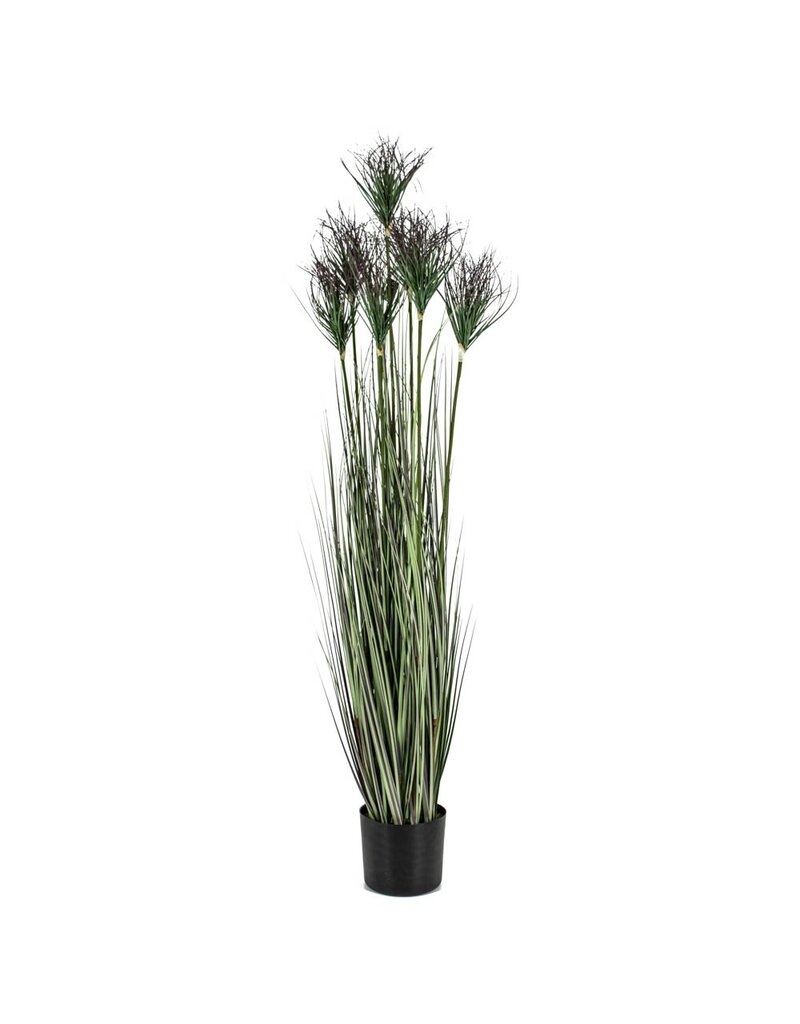Damn Kunstplant gras  150cm