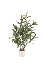 Damn Kunstplant Olea olijf 60cm