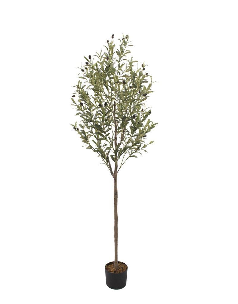 Damn Kunstplant olijfboom 175cm