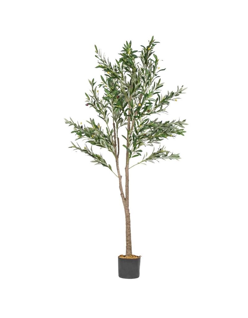 Damn Kunstplant olijfboom 180cm grove stam