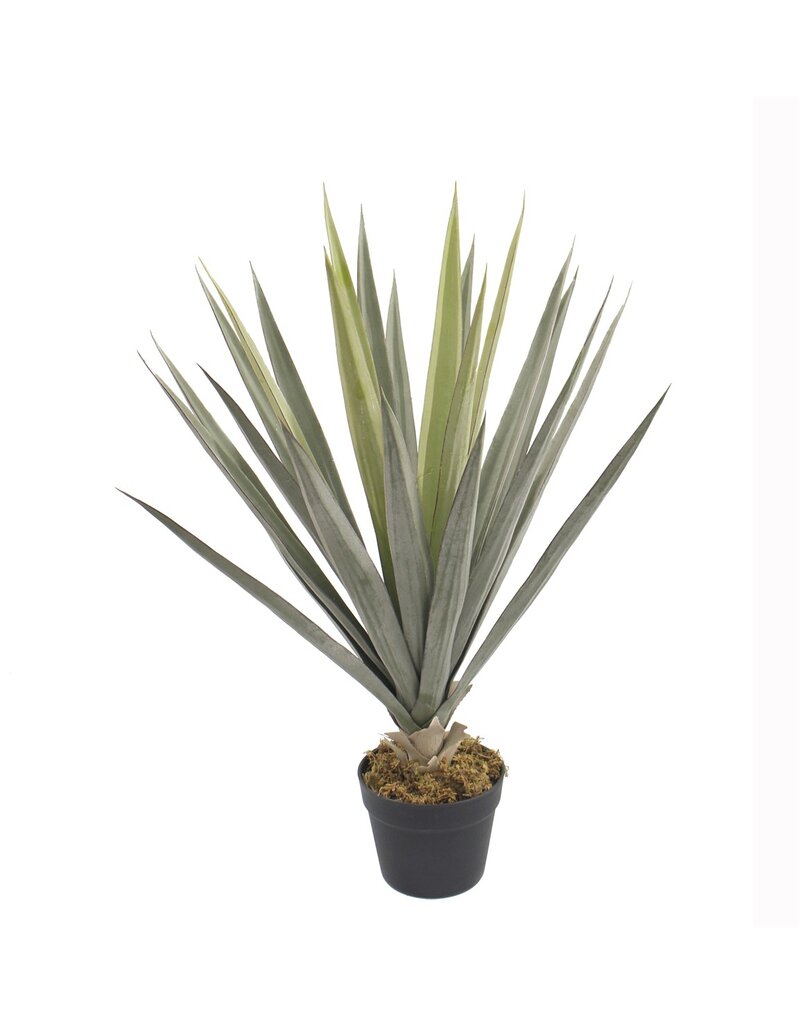 Damn Kunstplant Sage yucca 75cm