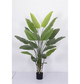 Damn Kunstplant Strelitzia 230cm