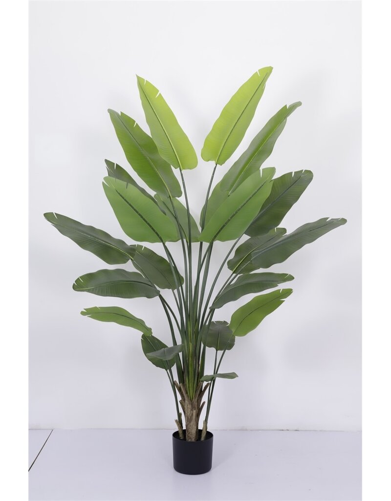 Damn Kunstplant Strelitzia 230cm