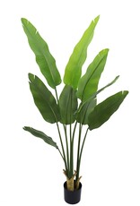 Damn Kunstplant Strelitzia real touch 180cm
