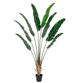 Damn Kunstplant Strelitzia real touch 215cm