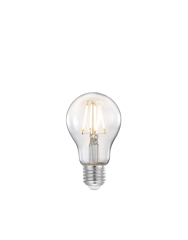 Damn LABEL51 Lichtbron Kooldraadlamp - Helder glas - - Bol M