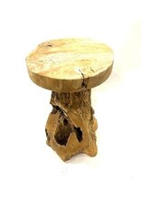 Damn Stool Jamur