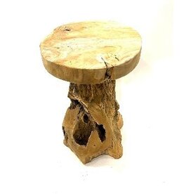 Damn Stool Jamur