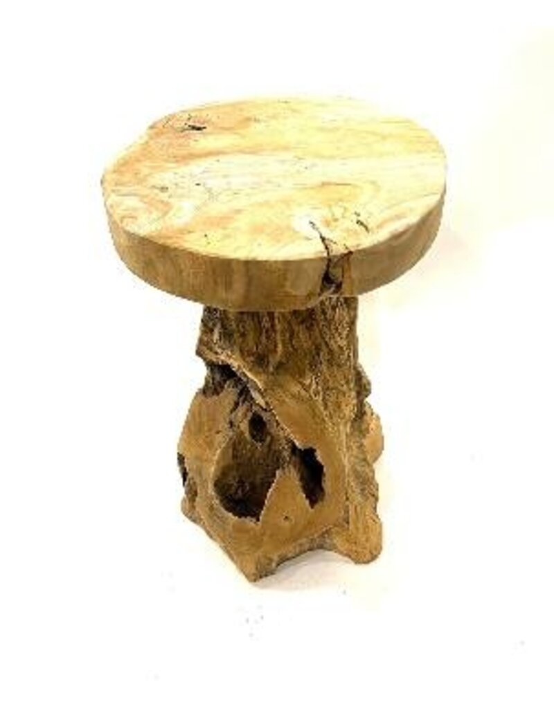Damn Stool Jamur