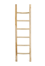 Damn Ladder Rond Barney