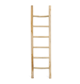 Damn Ladder Rond Barney