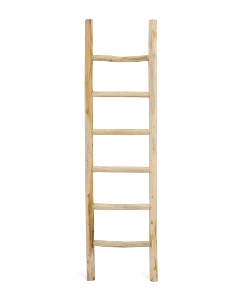Damn Ladder Rond Barney