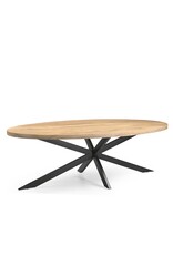 Damn Eetkamertafel Ellips 25+25 160