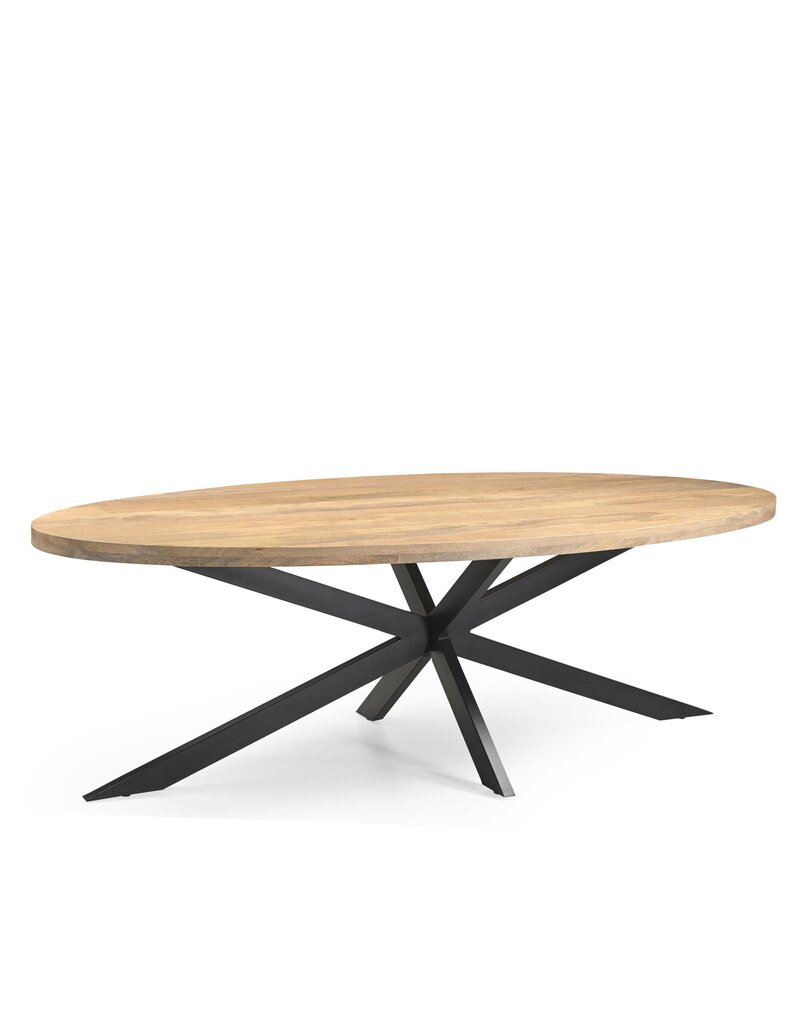Damn Eetkamertafel Ellips 25+25 160