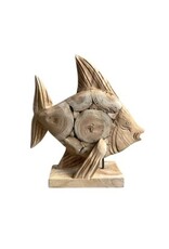 Damn Fish Coin S 30x20H35