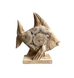 Damn Fish Coin S 30x20H35