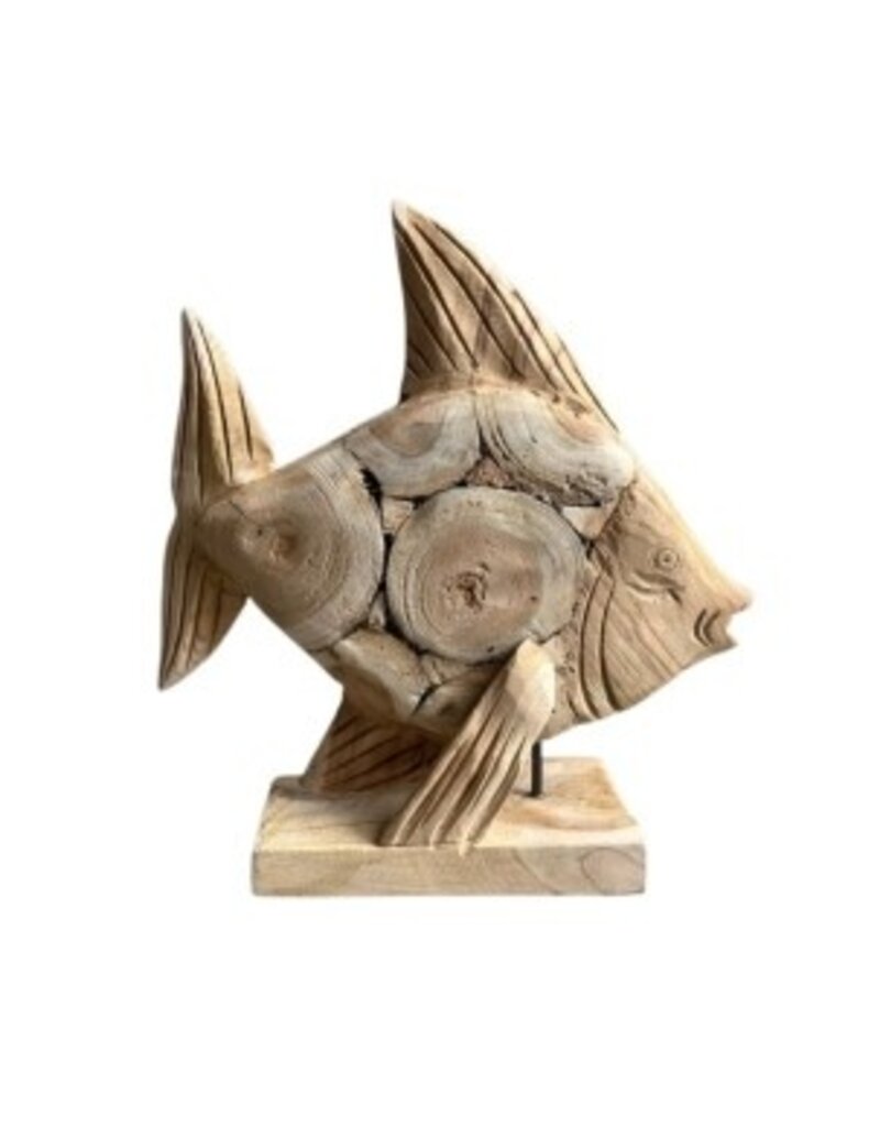Damn Fish Coin S 30x20H35