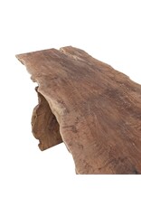 Damn Boomstamtafel Klengkeng