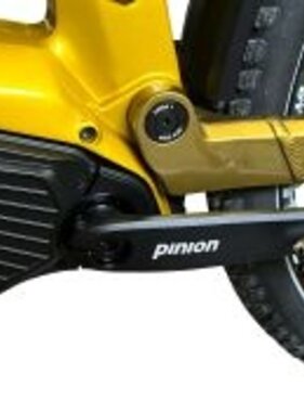 bikespeed Bikespeed-RS Pinion MGU