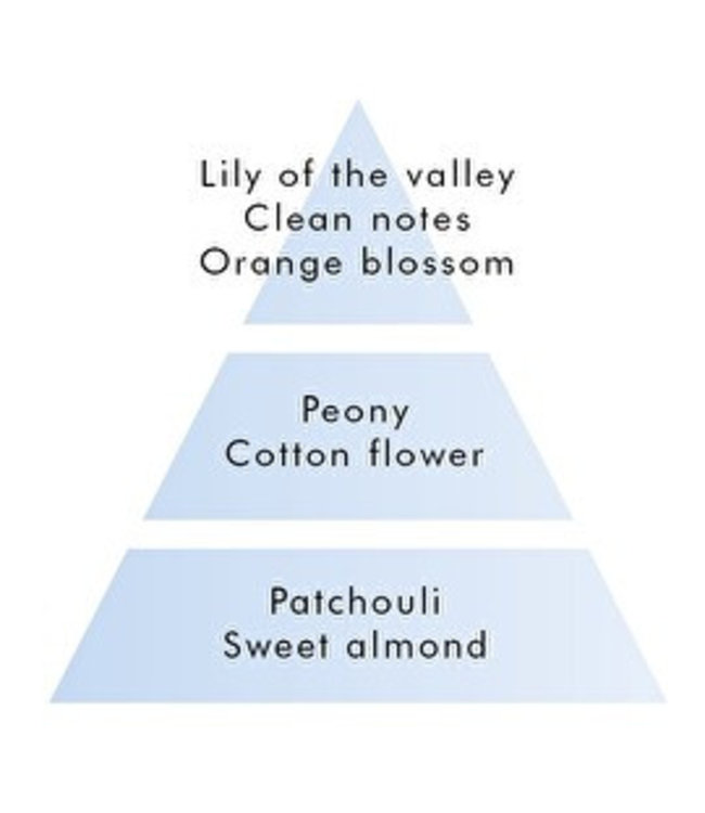 Lampe Berger navulling  huisparfum - Soap Memories