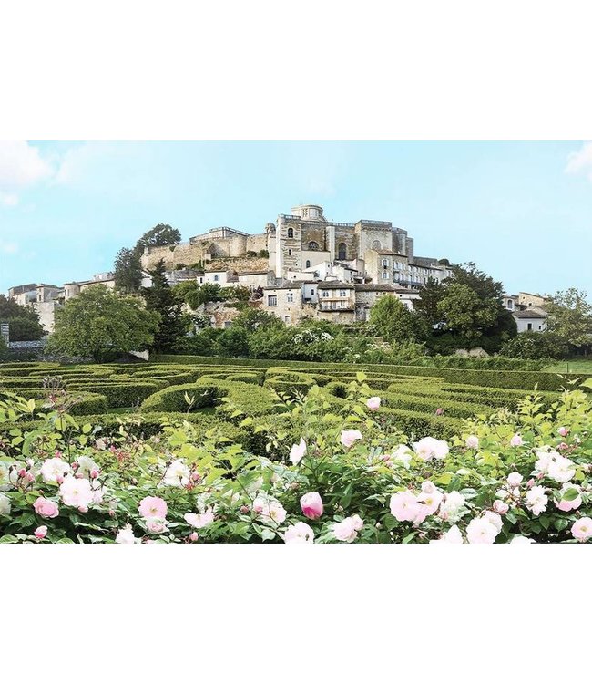 Joli Coquelicot - Eau de Toilette