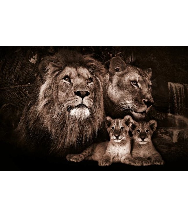 kalkoen keuken Wafel Glasschilderij - De gouden leeuwen familie - De Woonhoek