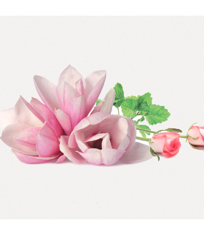 Lampe Berger navulling huisparfum - Underneath the Magnolias