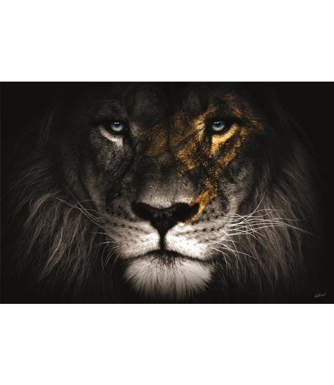 Glasschilderij- Leeuw
