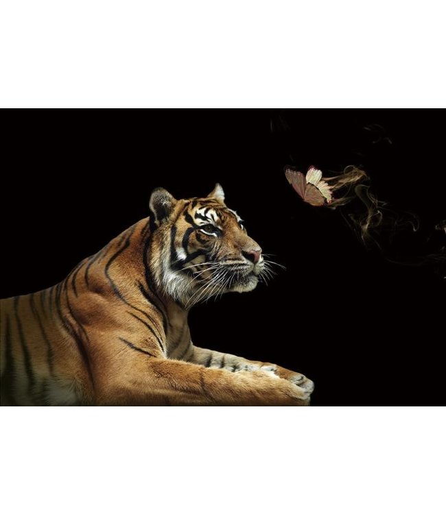 Glasschilderij - Tiger meets butterfly