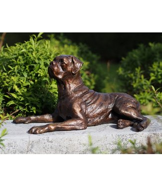 Bronzen beeld - Boxer