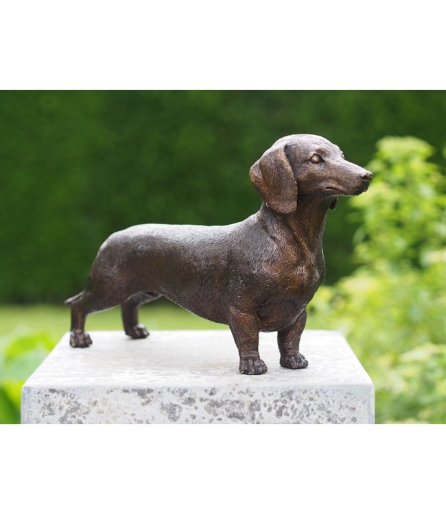 Bronzen beeld - Teckel