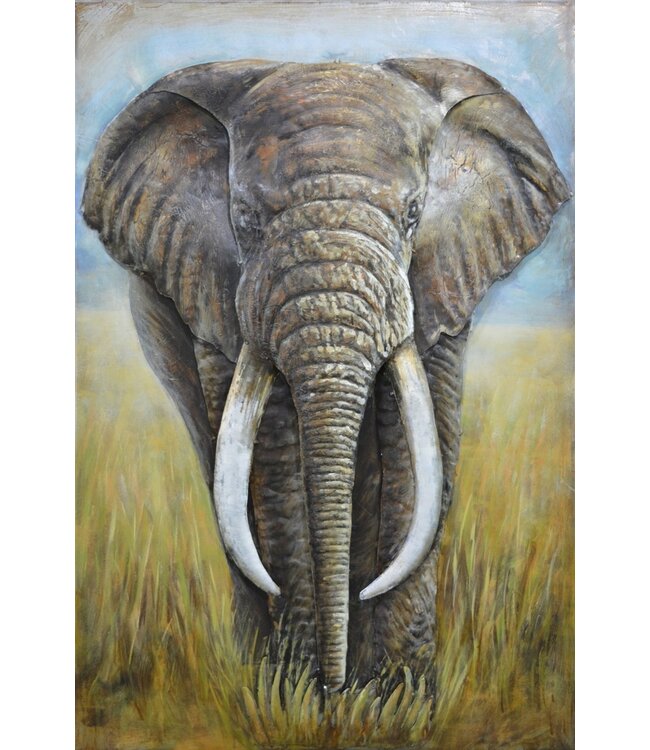 Home Olifant Buba - Metalen 3D schilderij