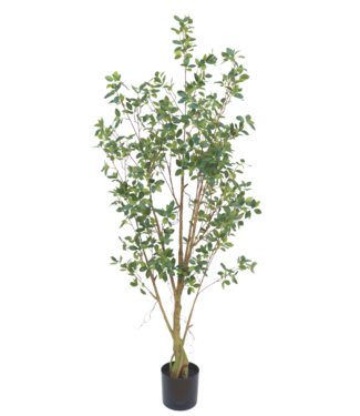Ficus Kunstplant 180cm