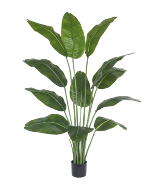 Kunst Bananenplant 150cm