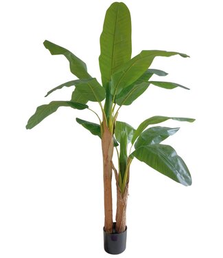 Kunst Bananenplant 150cm