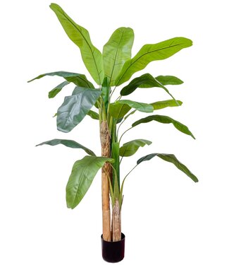 Kunst Bananenplant 180cm