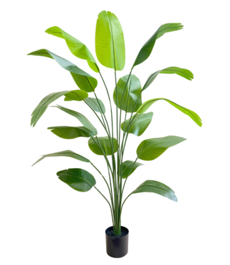 Kunst Bananenplant 180cm