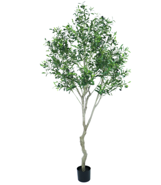 Kunstplant - Olijfboom -210 cm