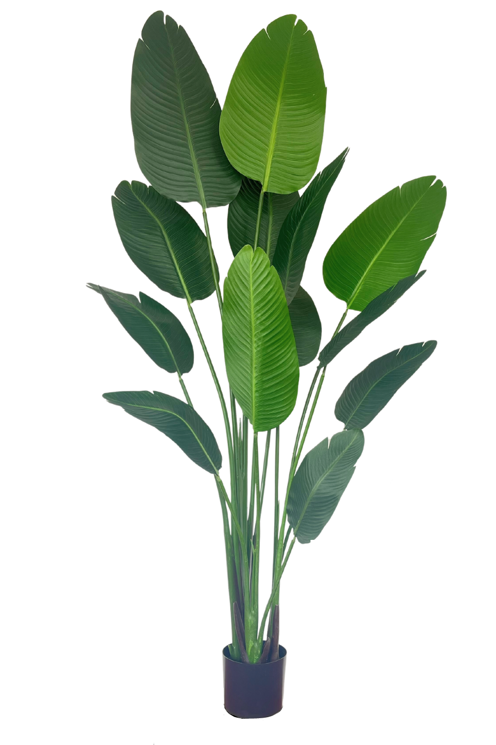 Kunstplant - Kamerplant Strelitzia - 180 cm - De Woonhoek