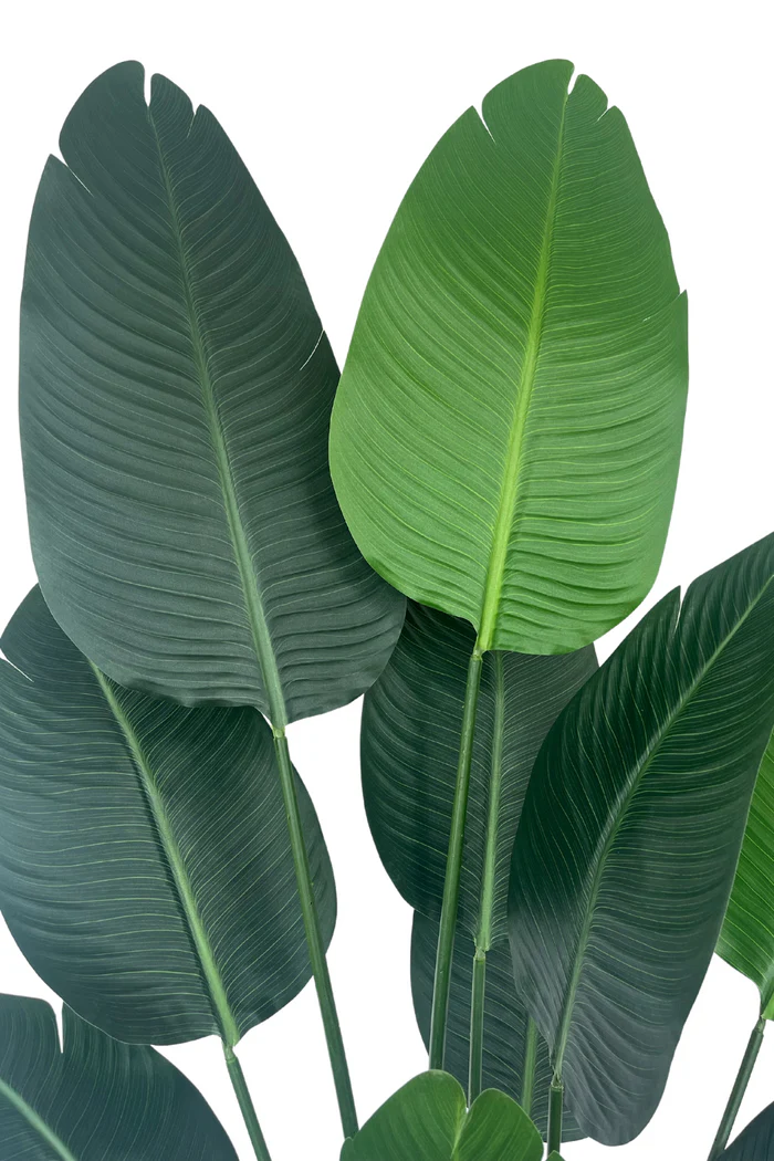 Kunstplant Strelitzia - levensechte hoogwaardige kunstplant
