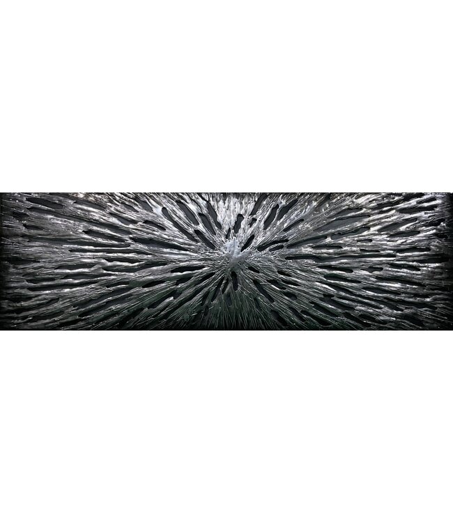 Metalen 3D schilderij - Argentum