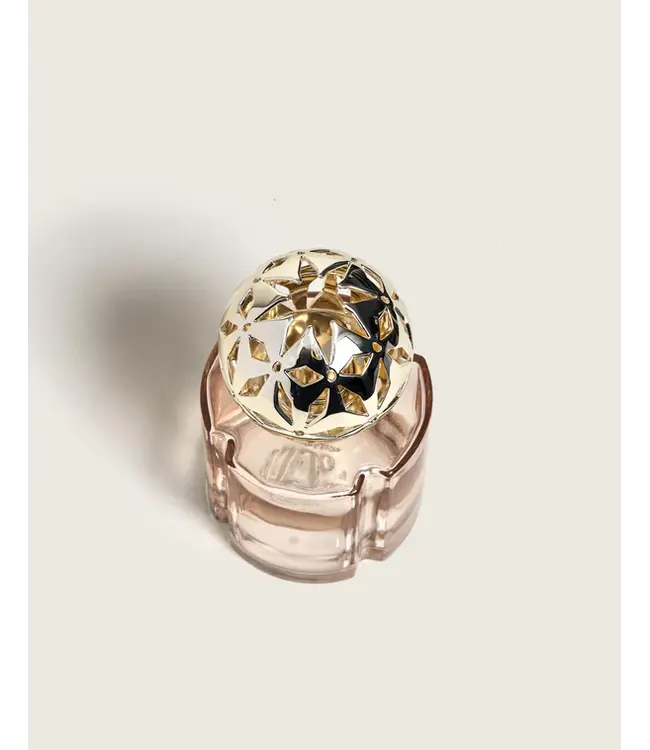 Lampe Berger Giftset - Pomelis Nude