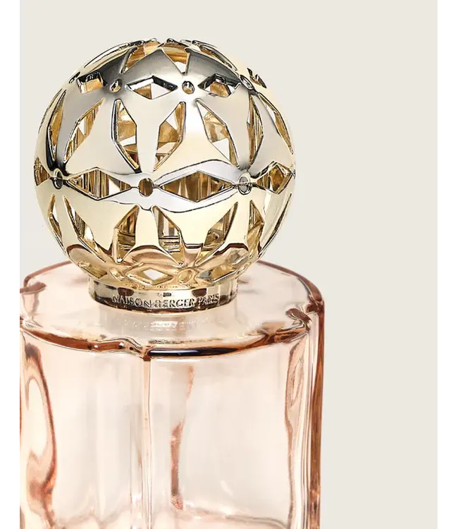 Lampe Berger Giftset - Pomelis Nude