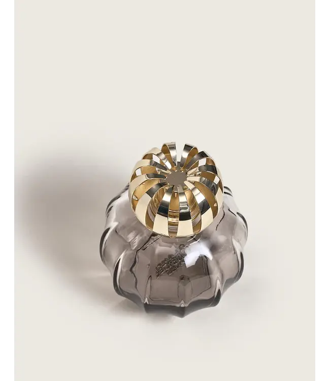 Lampe Berger - Giftset - Corali Gris