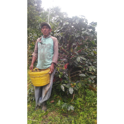 Cup of Excellence Peru - Eleuterio's Cup of Excellence Cup of Excellence Peru - Eleuterio's Cup of Excellence