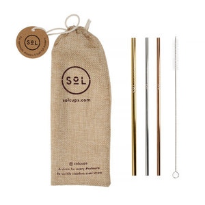 SOL Sol Straw Kit - 3 reusable straws + Cleaning Brush + Bag