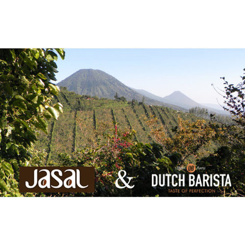 Dutch Barista Coffee El Salvador - El Capulin Dutch Barista Coffee El Salvador - El Capulin
