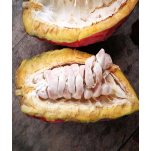 Nicaragua - Kubaly 75% Nicaragua - Kubaly 75%